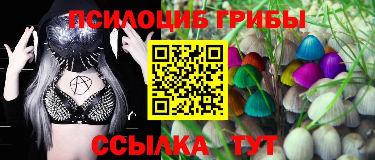 Галлюциногенные грибы GOLDEN TEACHER Комсомольск-на-Амуре
